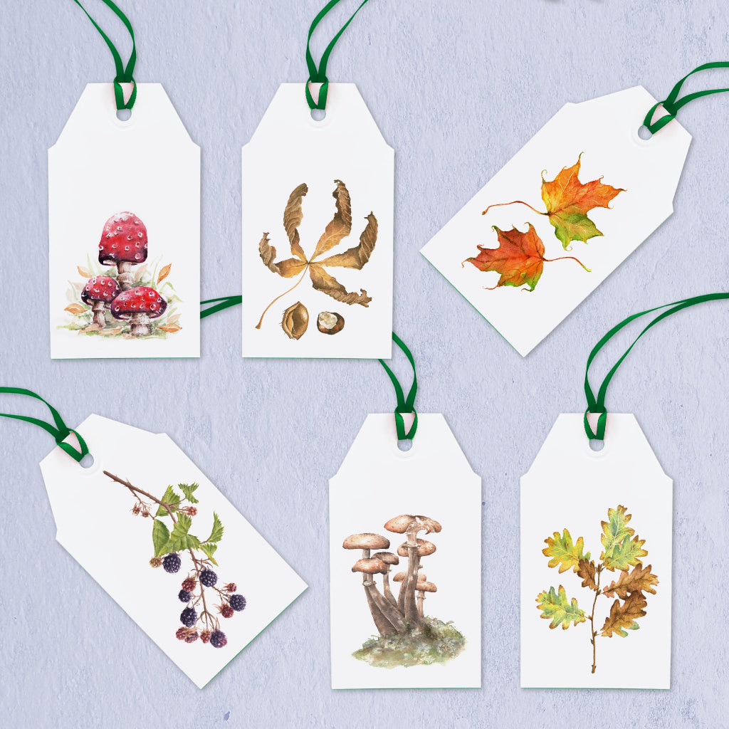 Set of six gift tags with green ribbon with autumn-themed illustrations on a light blue background. Pictures include maple, oak leaves, horse chestnut and conker, red fairy mushroom, toadstool and black berries