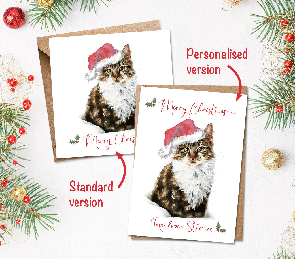 2 christmas cards with long haired tabby cat in santa hat on the front, one personalised from the cat, other is standard version