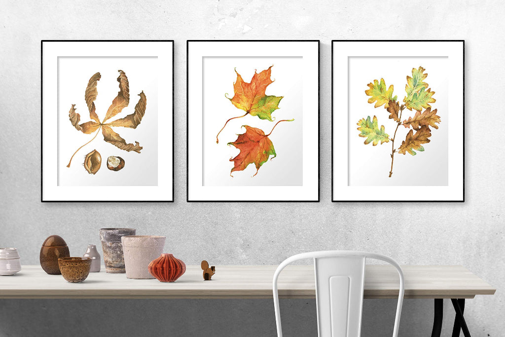 set of 3 art prints with autumn leaves in gallery wall display, with maple, oak and chestnut