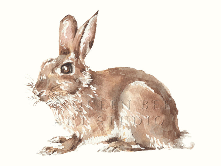 Watercolour illustration of brown rabbit