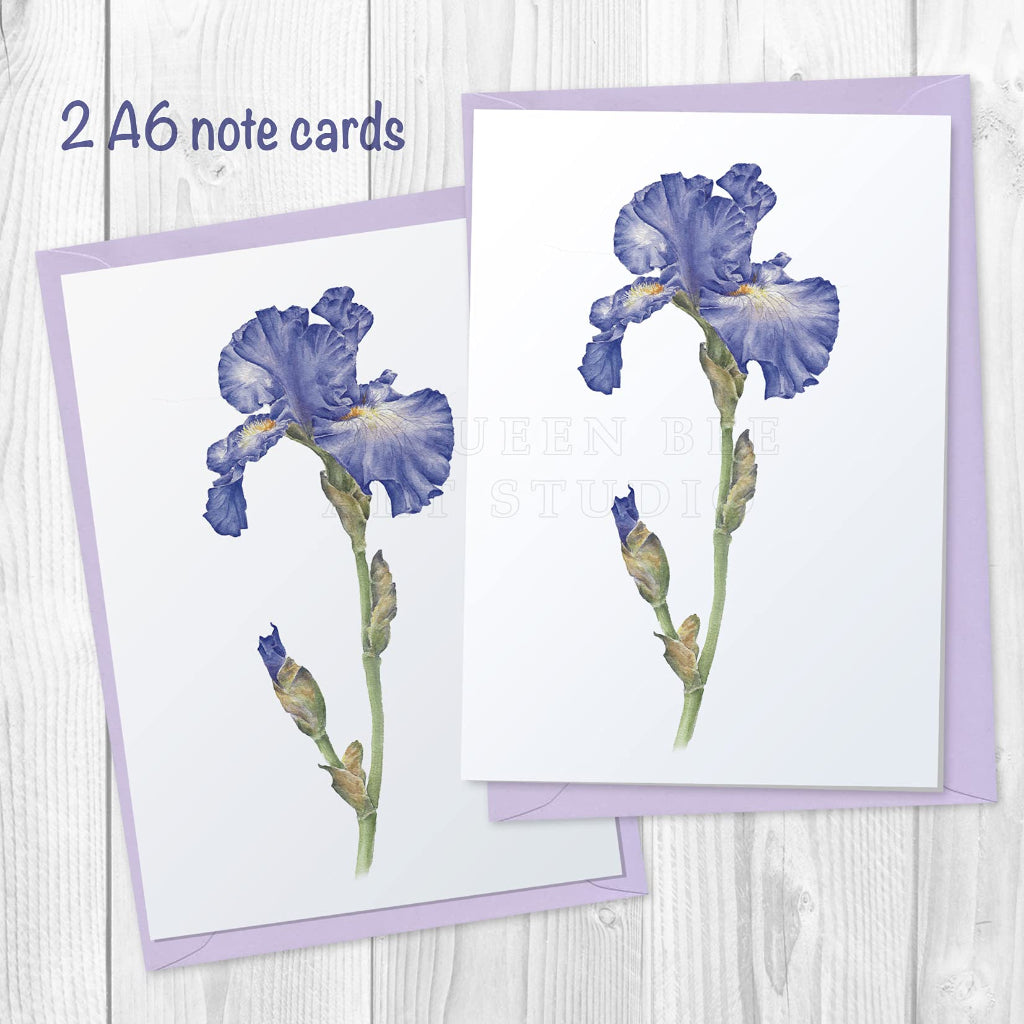 2 notelets with botanical illustration of purple blue iris with lilac envelopes
