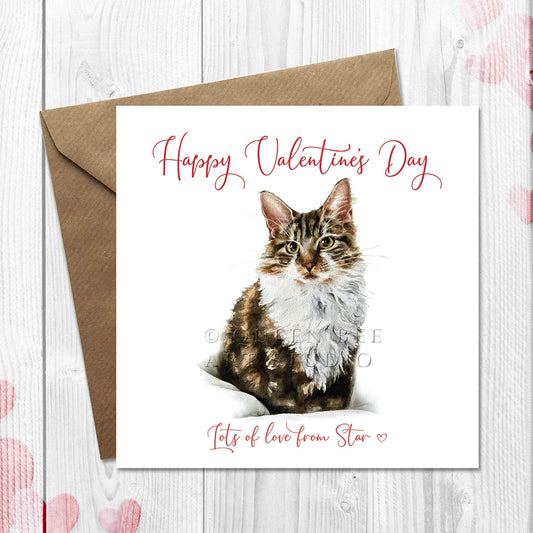 Personalised Happy Valentine's card from the cat with long haired tabby and white cat.