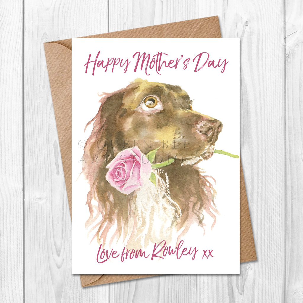 Personalised Mother's Day card from the dog with a liver brown sprocker spaniel holding a rose in his mouth
