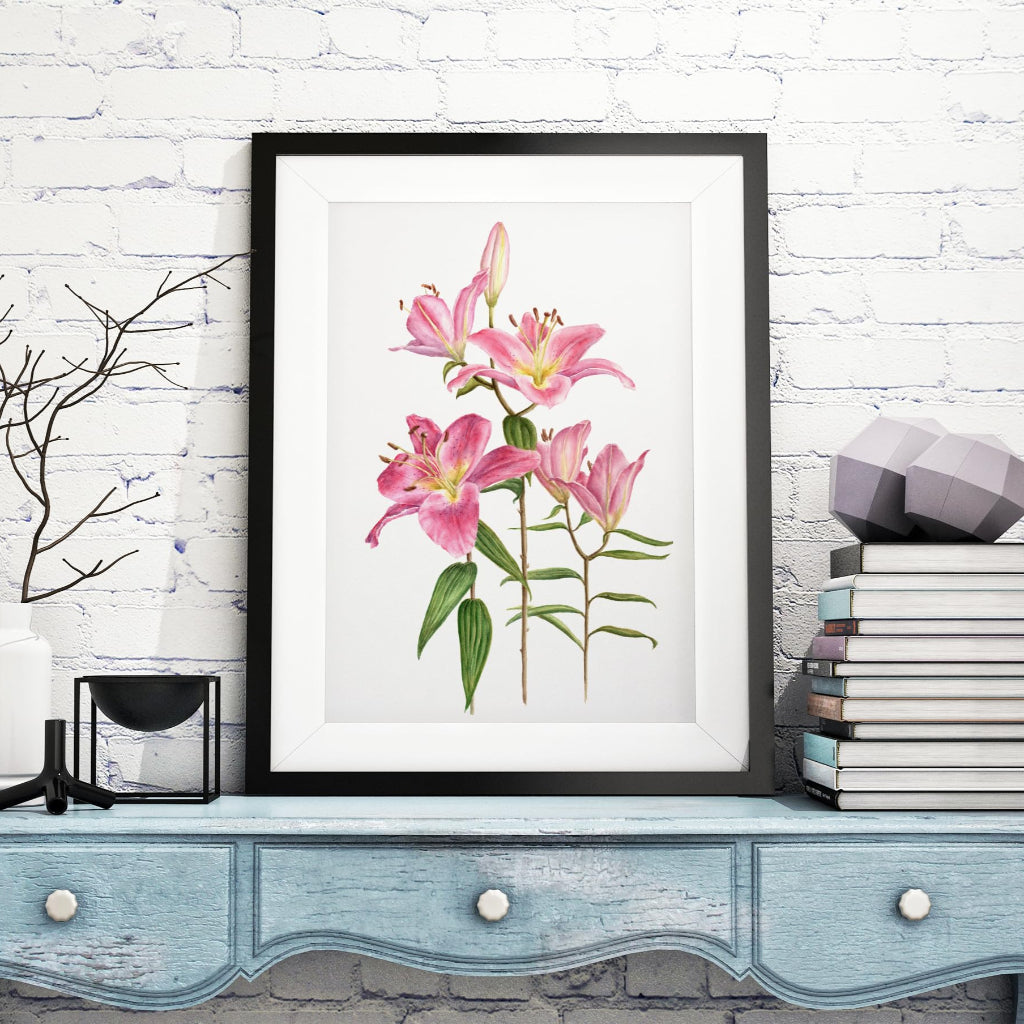 Large framed Pink lily botanical illustration in rustic cottagecore room setting in white 
