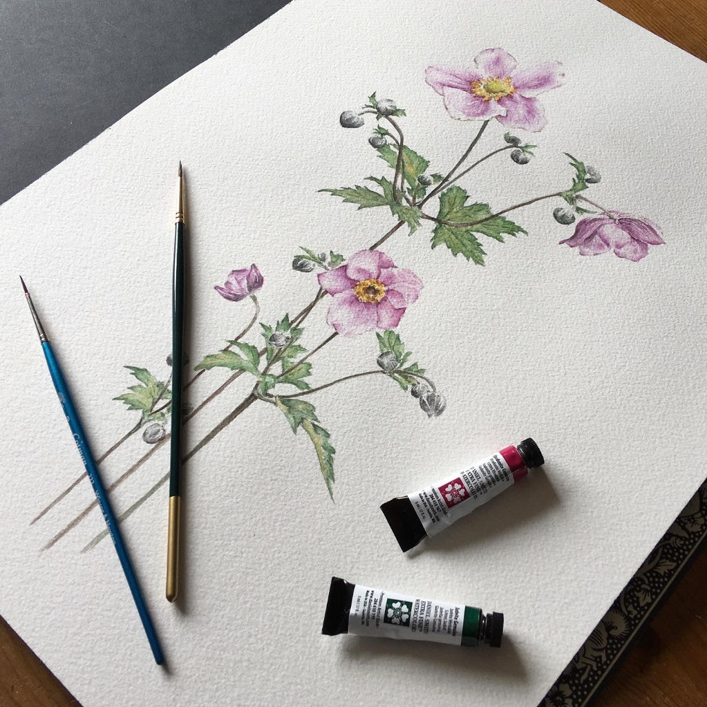close up of original watercolour painting of pink Japanese Anemones with paint brushes and paint tubes