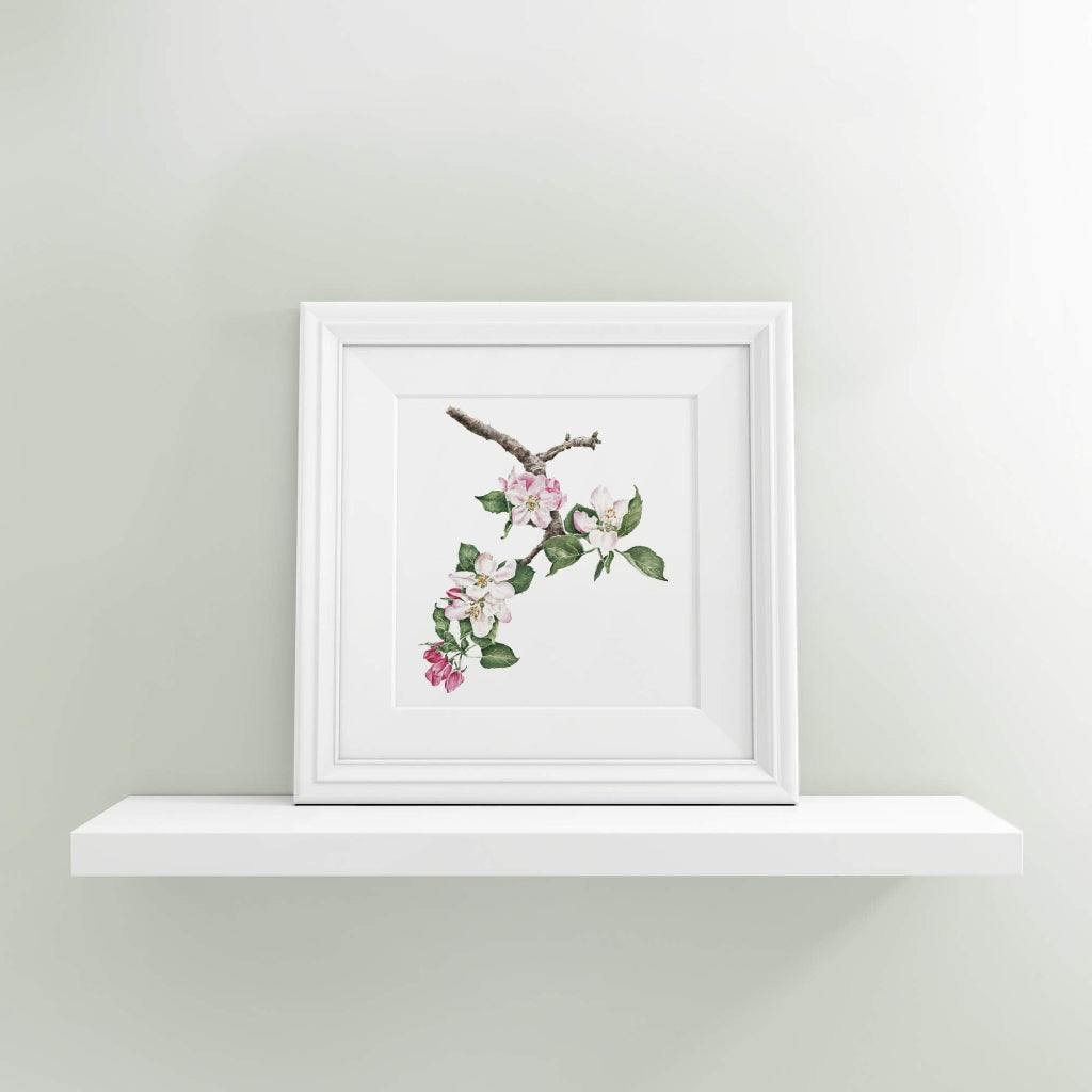 pink & white apple blossom square art print on a shelf