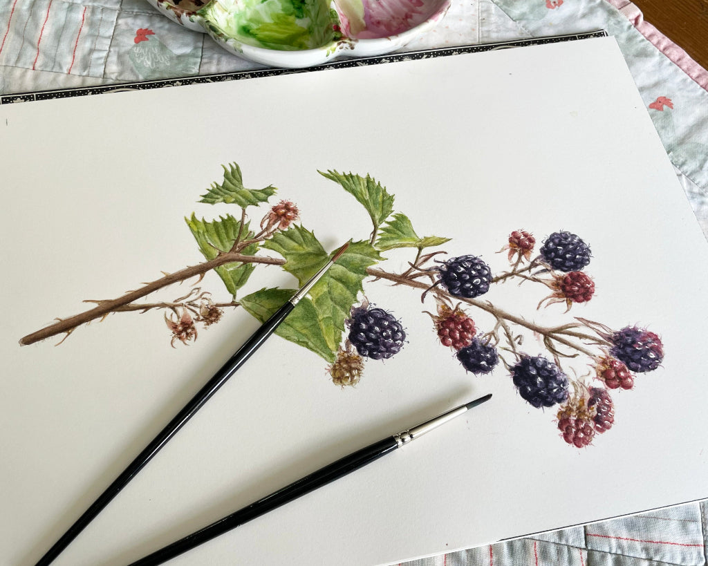 An original botanical watercolour painting of black berries and leaves on with brushes.