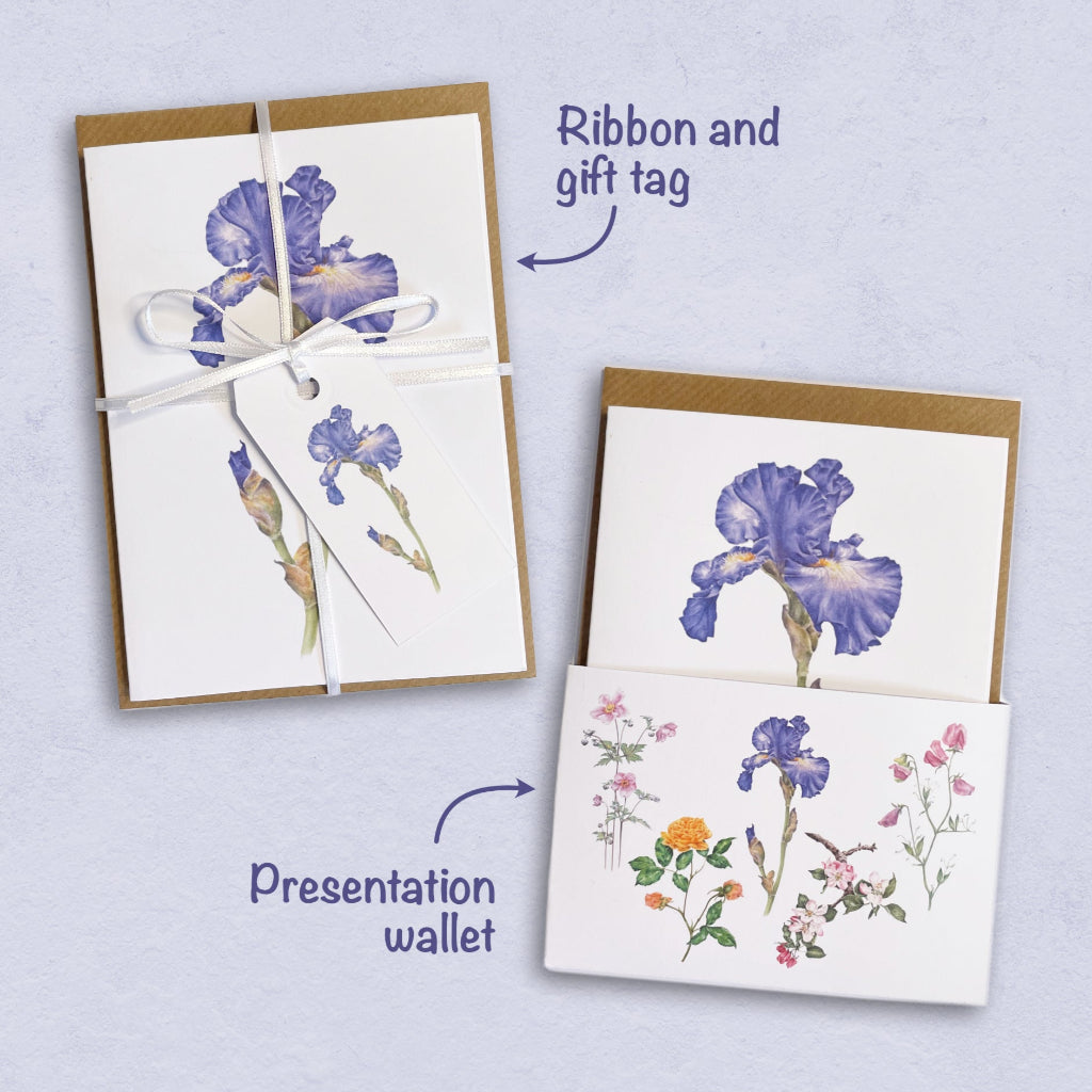 choice of the card set with gift ribbon and tag or a presentation wallet