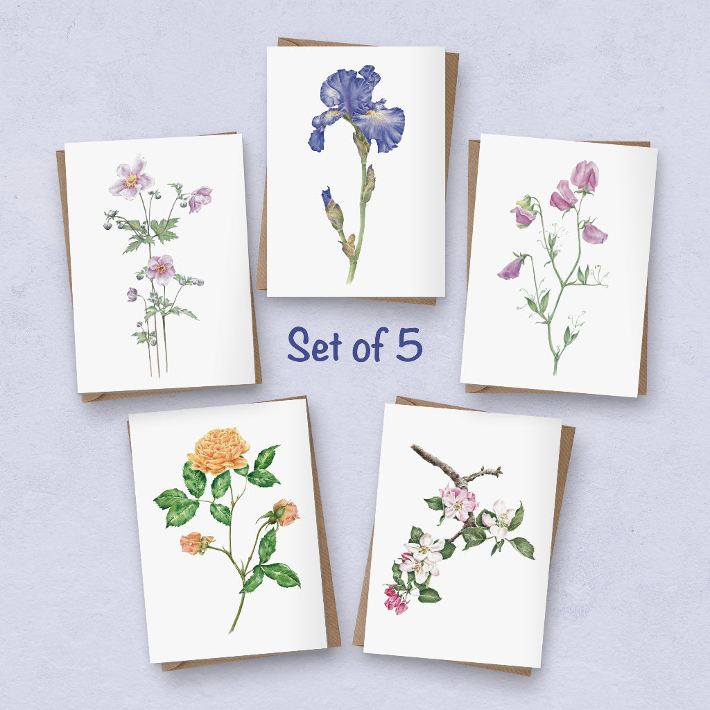 set of 5 note cards or notelets with  different botanical illustrations of flowers
