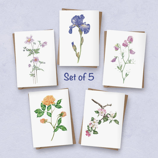 set of 5 note cards or notelets with  different botanical illustrations of flowers