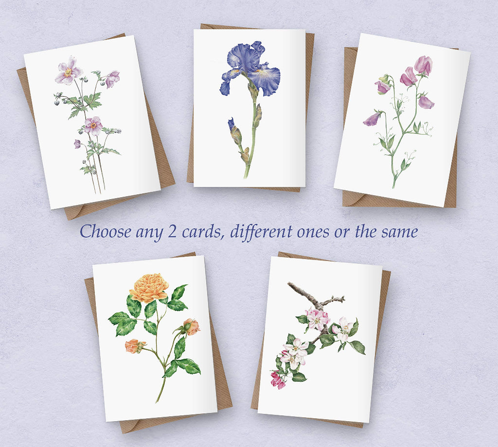 Choice of 5 different flower cards with iris, sweet peas, yellow rose, apple blossom and Japanese anemone