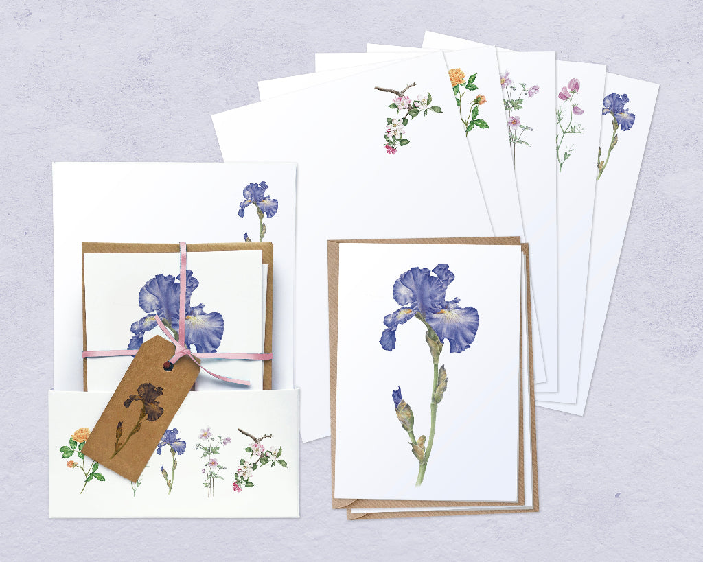 Floral stationery set with iris cards, and different botanical art flower pictures printed on writing paper, with presentation gift wallet and tag