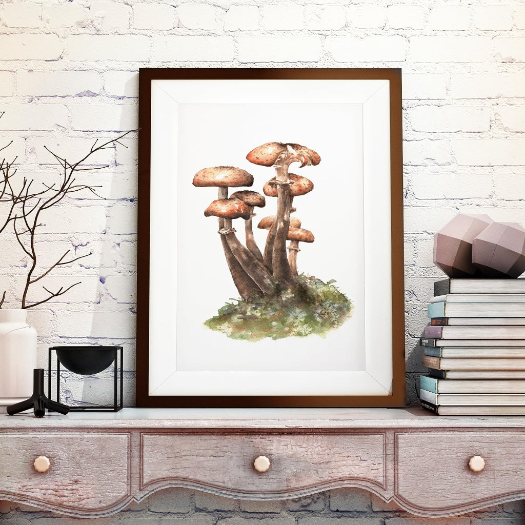 large framed picture of armillaria ostoyae dark honey fungus in neutral cream room setting