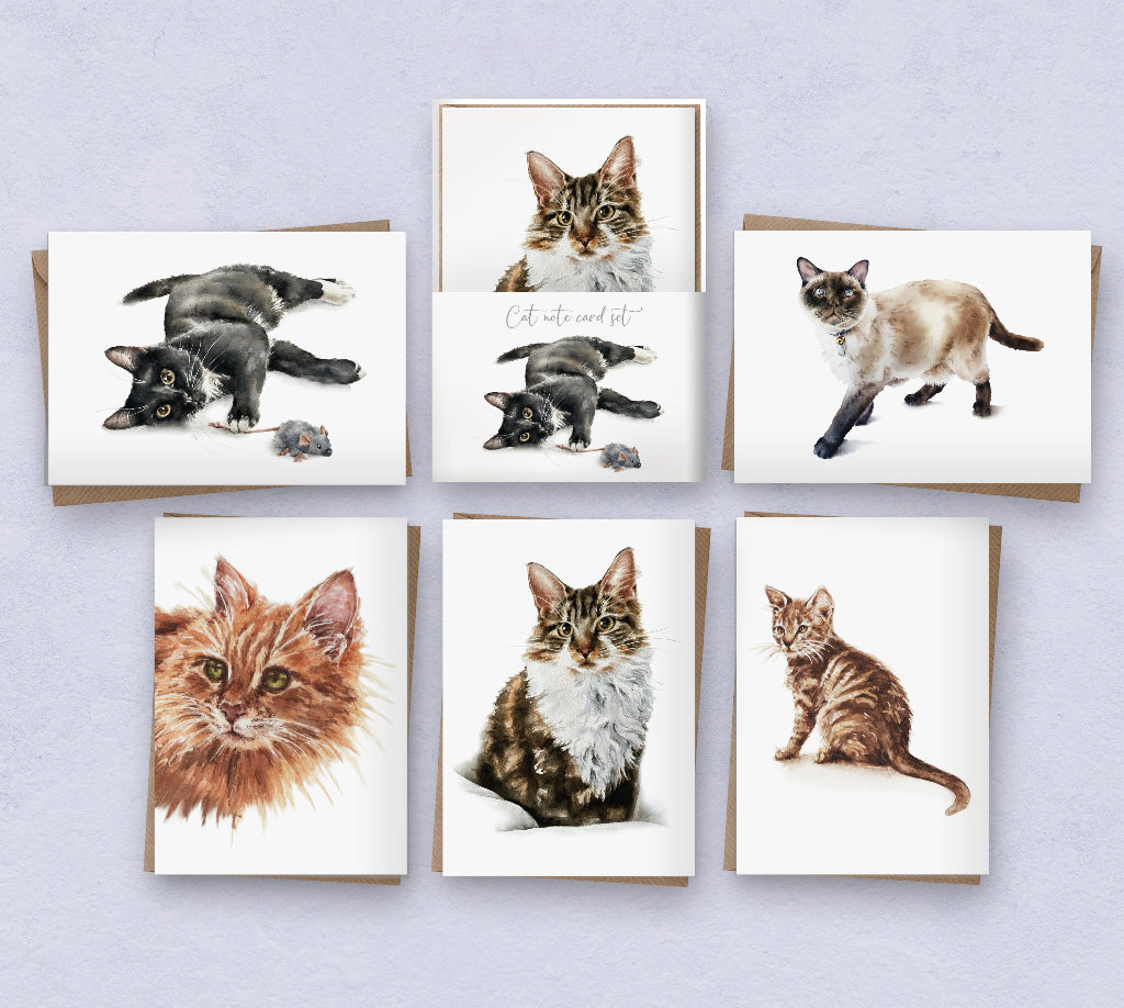 Set of 5 cat note cards with gift presentation pack, each printed with realistic painting of different cat