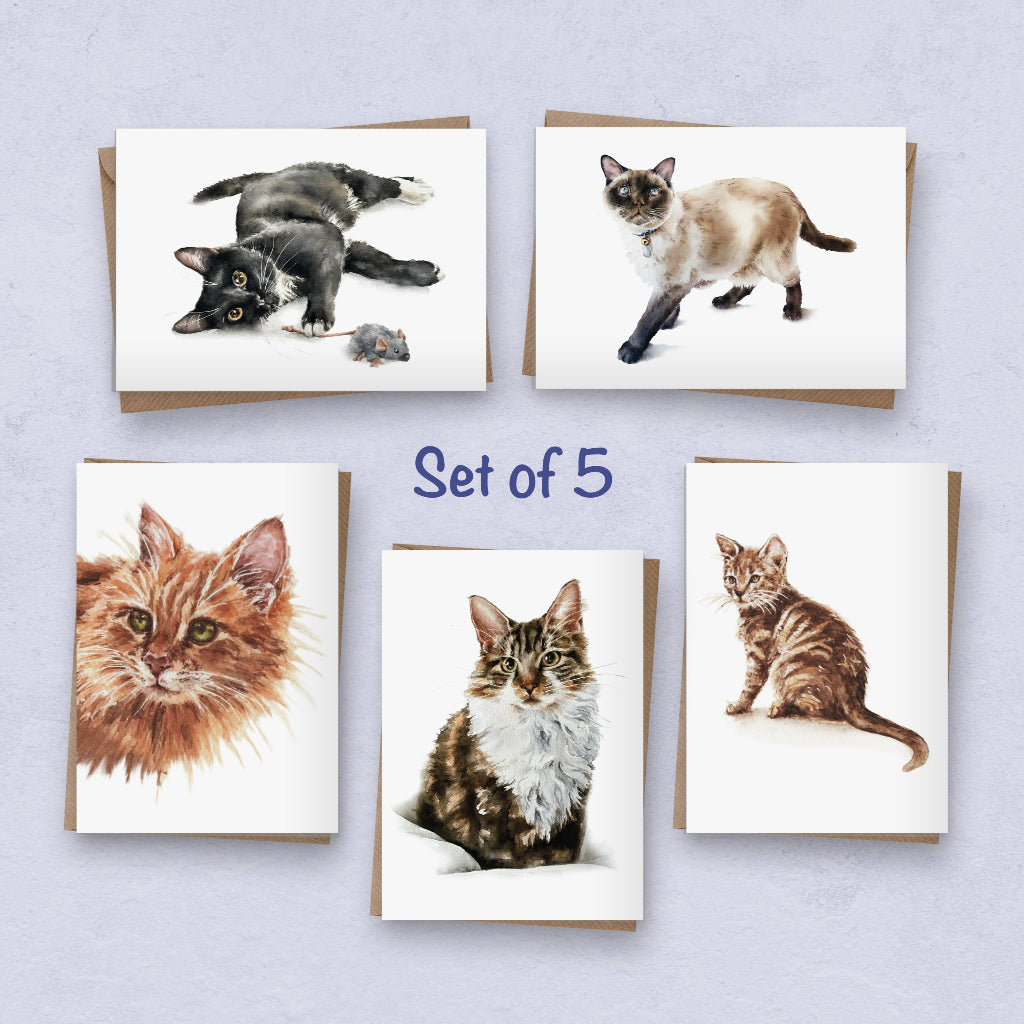 Set of 5 notelets or note cards with different cat designs on front, pictures are realistic watercolour paintings