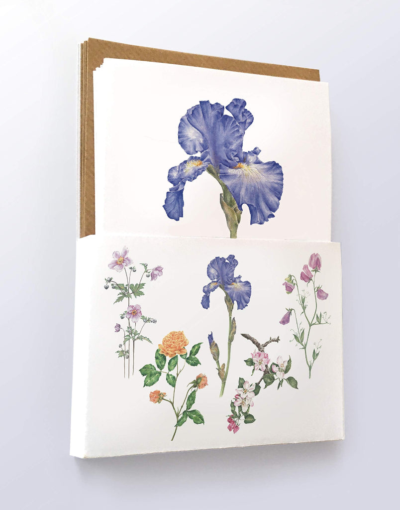 close up of iris cards in presentation gitf wallet