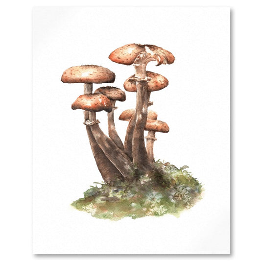 close up of honey fungi watercolour mycology illustration