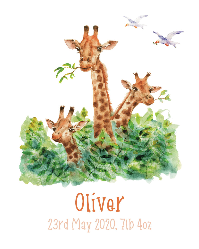 detailed watercolour art print of 3 cute giraffes with personalised name and birthday and weight for baby