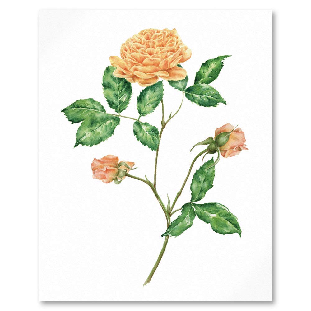 close up of art print of golden yellow roses, leaves and apricot colour rosebuds
