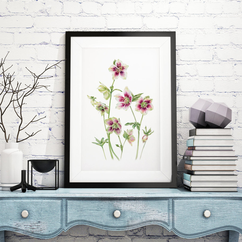 Large framed art print of green pink and cream Lenten or Christmas roses in cottagecore or rustic room setting