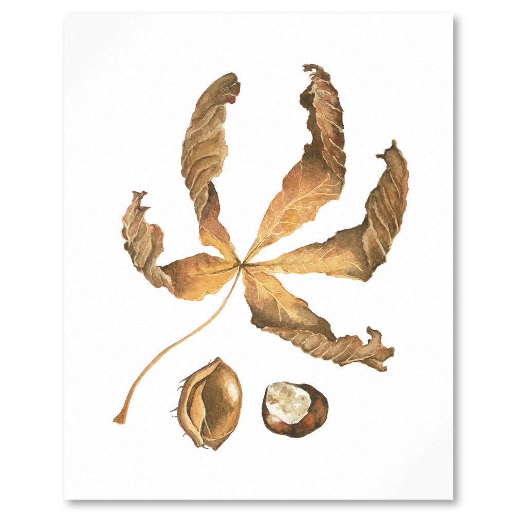 close up of watercolour art print of autumn horse chestnut leaf and conker