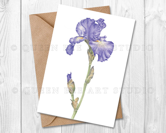 Iris Art Card