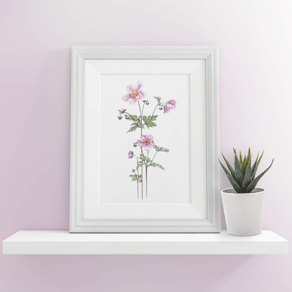 pink japanese anemone flower print in white frame on shelf with plant with pale pink wall