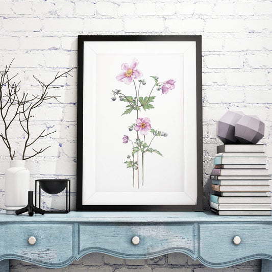 Botanical illustration of japanese anemone flowers in large black frame in room setting
