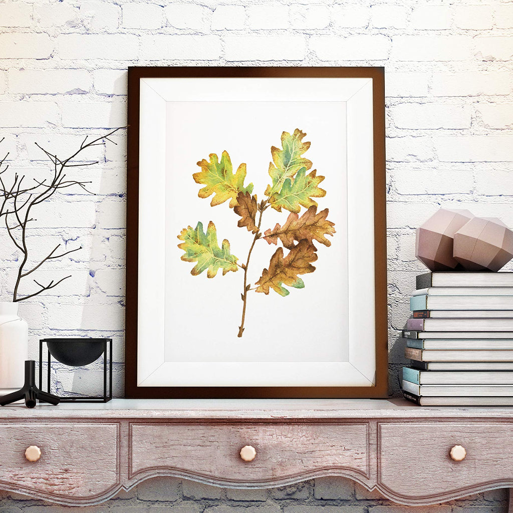 large framed picture of realistic watercolour botanic illustration of autumn oak leaves in rustic farmhouse room setting
