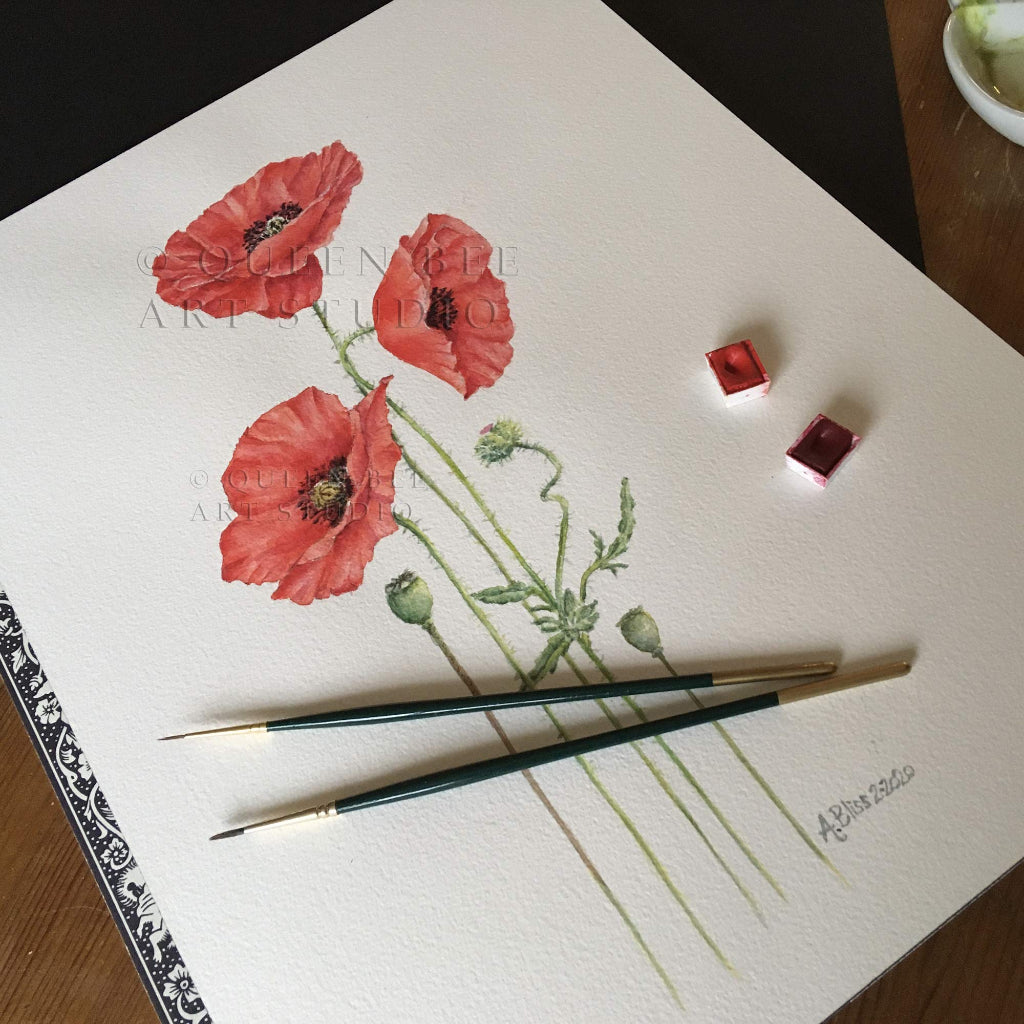 original watercolour painting showing botanical illustration of 3 red field poppies with paints and paintbrushes