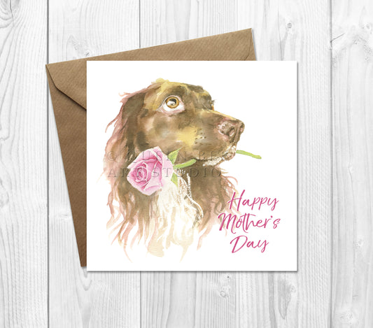 Spaniel Mother's Day Card from the Dog
