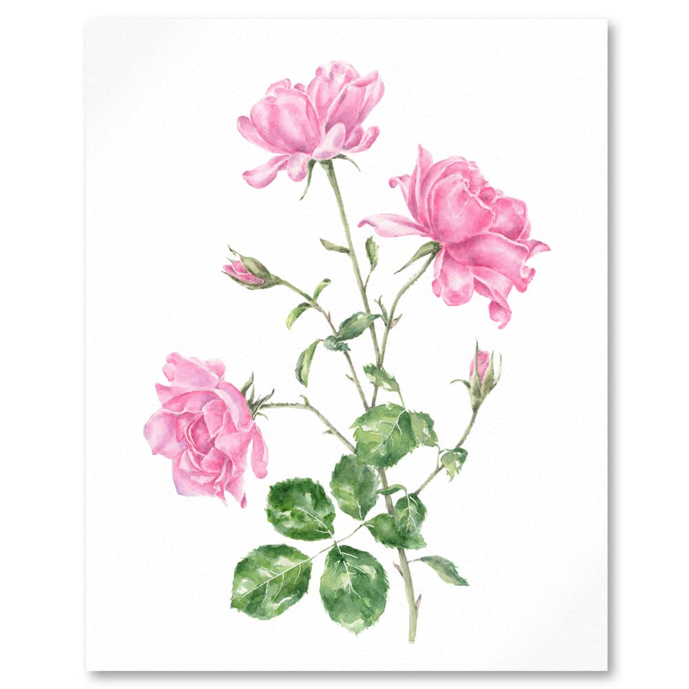 Close up of art print of watercolour painting of 3 candy pink roses