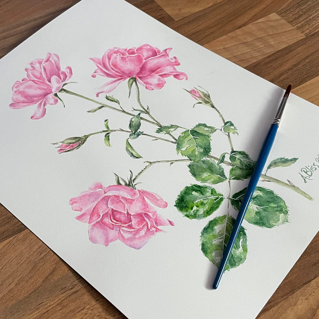 original watercolour painting of 3 candy pink roses and rosebuds with a paintbrush