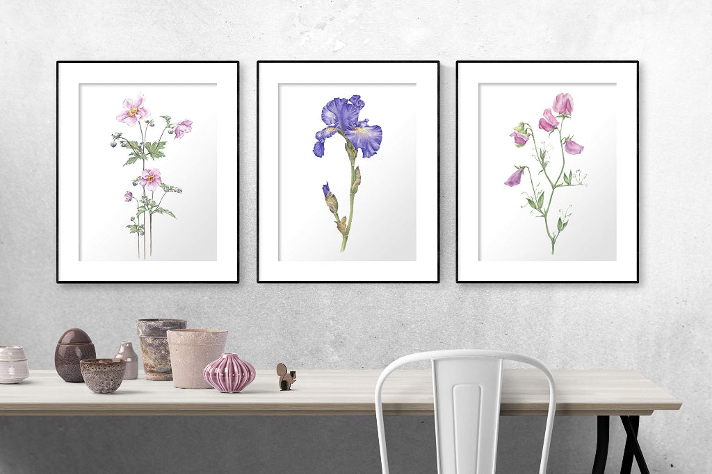 room setting with 3 framed botanical art prints of anemone, blue iris, pink sweet peas on neutral grey wall in gallery wall display