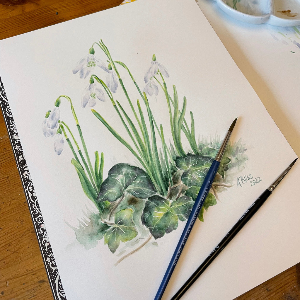original botanical art watercolour painting of snowdrops and ivy leaves with paint brushes
