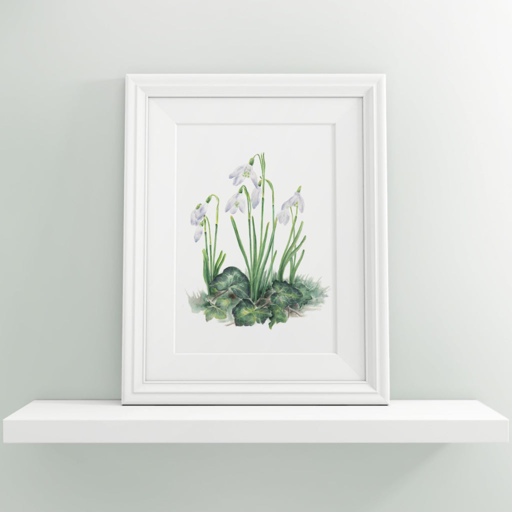 small framed art print on shelf with watercolour painting of galanthus snowdrops