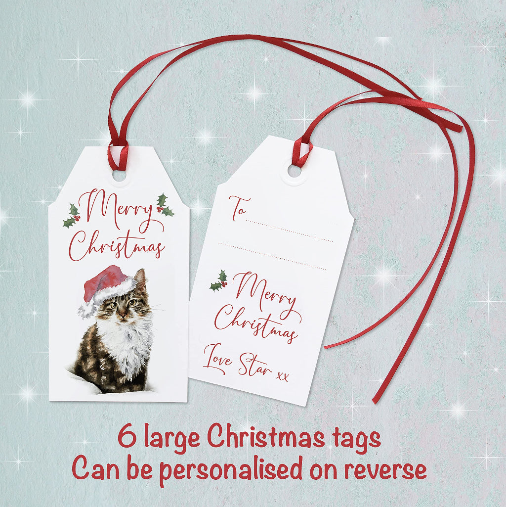 large Christmas gift tag with beautiful long haired tabby cat in santa hat. Label comes with red ribbon and can be personalised on back with cat's name