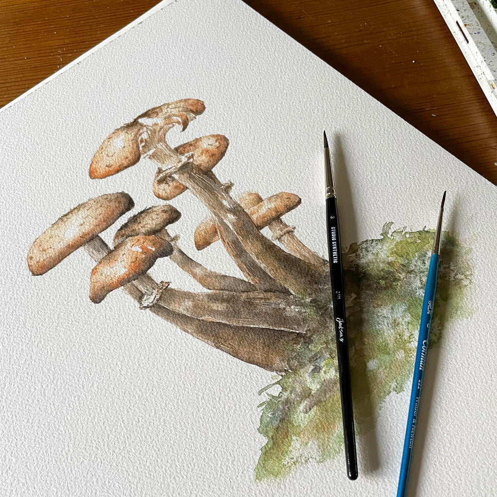 detailed watercolour painting of woodland toadstool